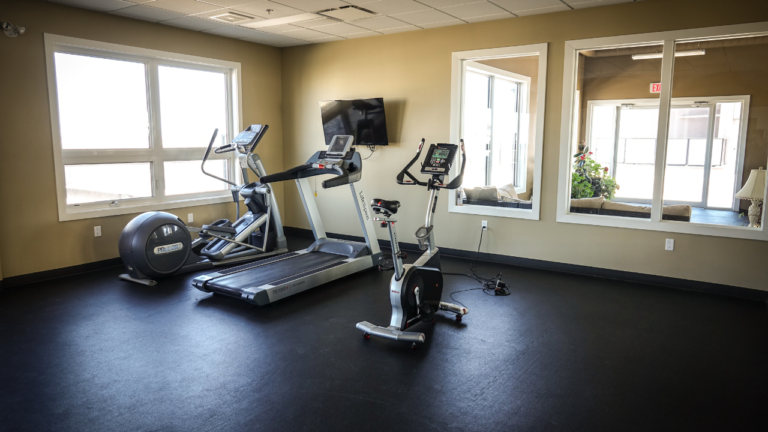 Best Low-Profile Treadmill For Low Ceiling Homes: Top 6 of 2023